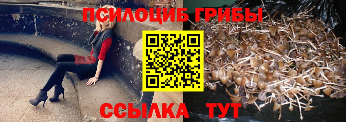 Псилоцибиновые грибы GOLDEN TEACHER Александров