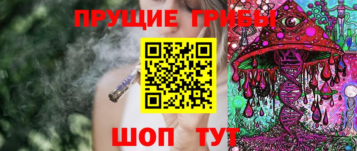 Александров  что такое   Вход с VPN  Галлюциногенные грибы Psilocybe 